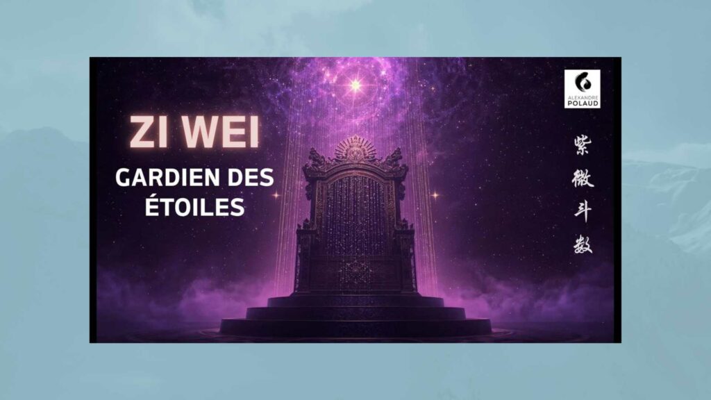 Formation ZI WEI DOU SHU en ligne