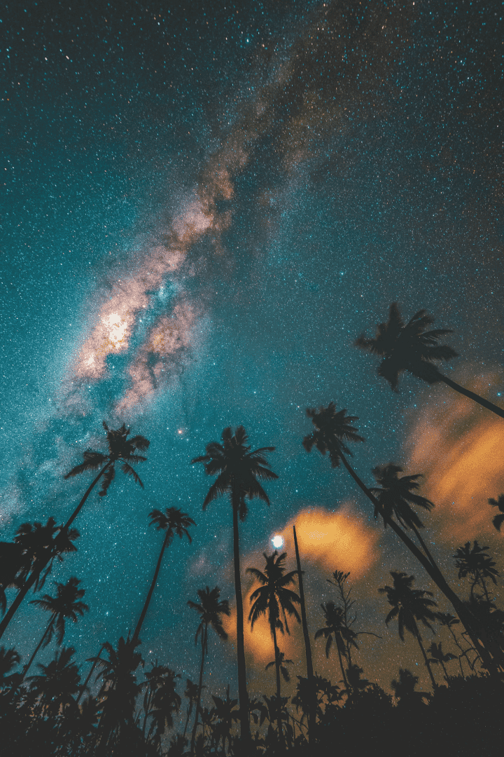 Formation BaZi en ligne